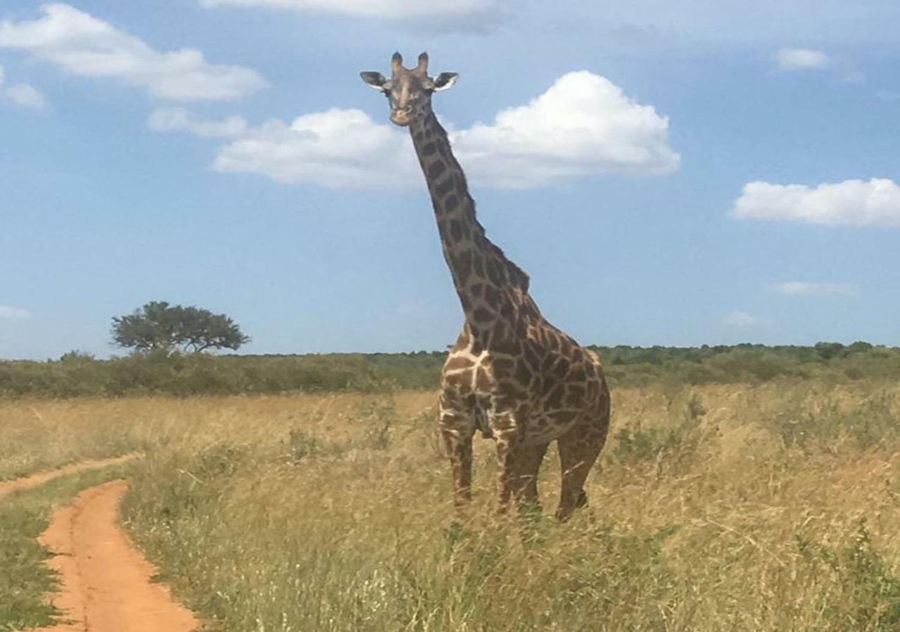 Aa Lodge Maasai Mara Talek Esterno foto